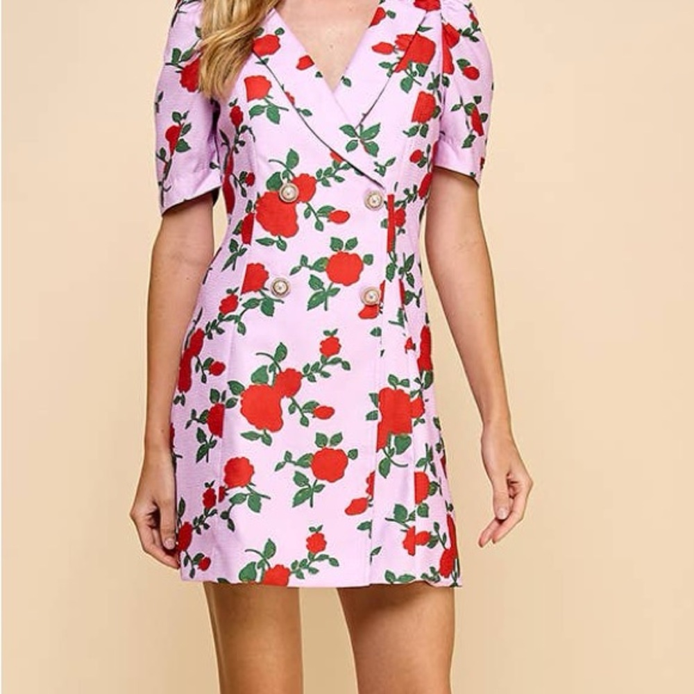 TCEC Pink Mini Dress with Red Floral Print